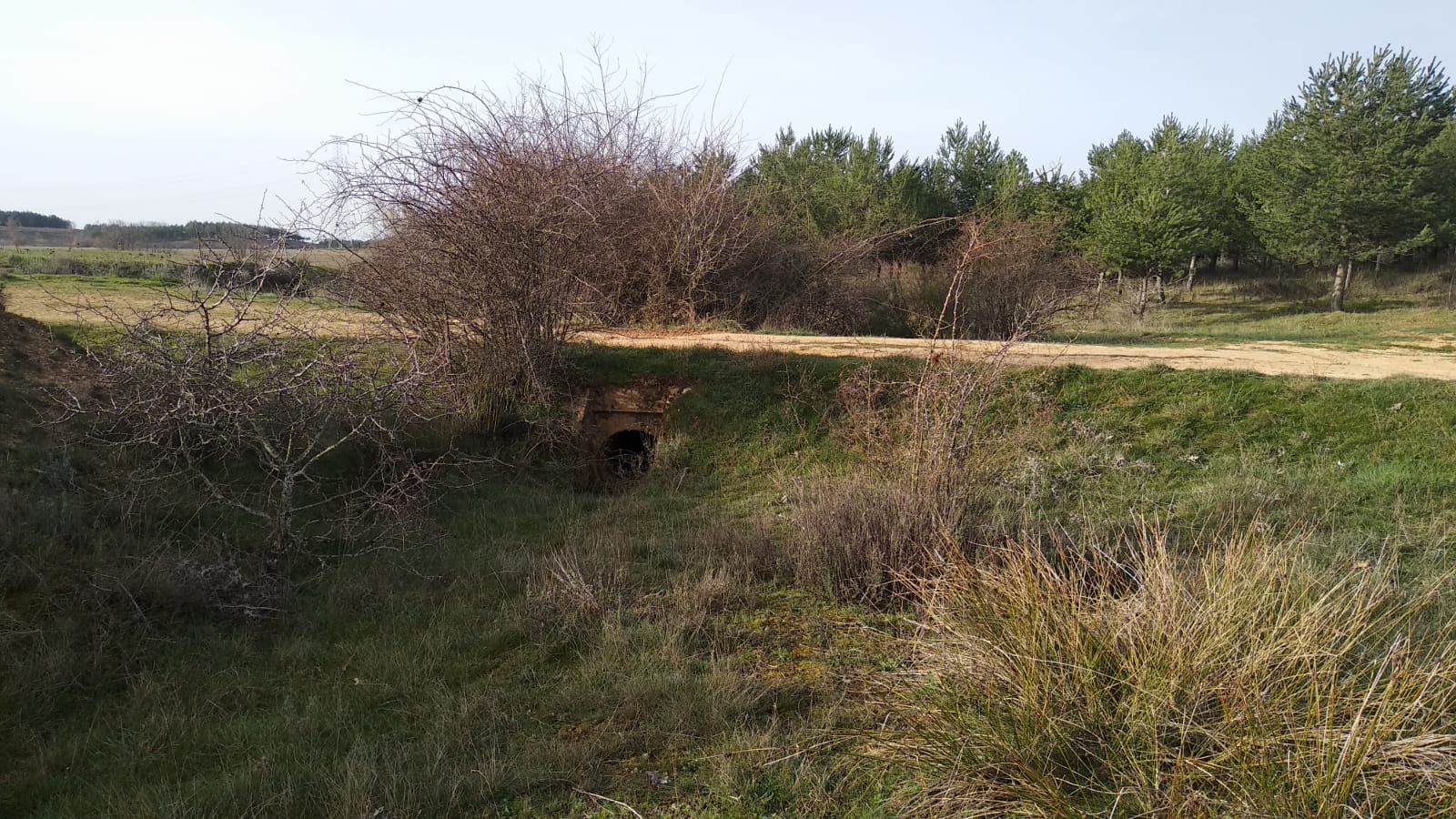 La investigación bajara el ajuste de cuentas como principal móvil en el crimen cometido en Valdefresno. En las imágenes, la zona en la que apareció el cuerpo.