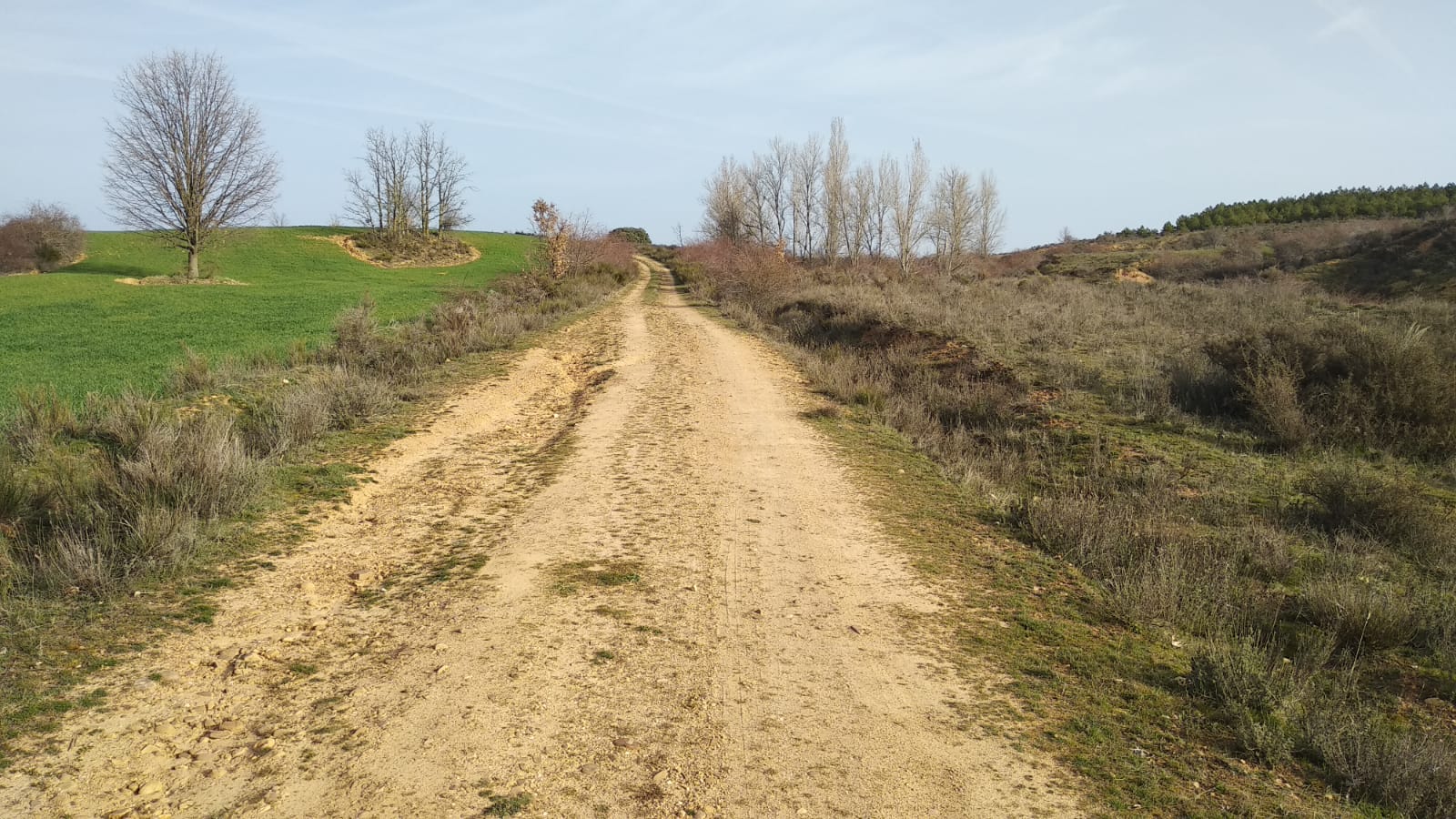 La investigación bajara el ajuste de cuentas como principal móvil en el crimen cometido en Valdefresno. En las imágenes, la zona en la que apareció el cuerpo.