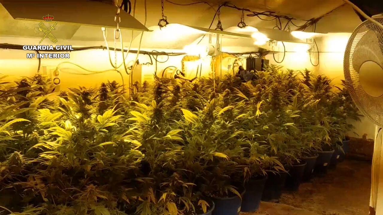 a Guardia Civil desmantela una organización criminal dedicada al tráfico de marihuana y cocaína desde Asturias hacia León. En total han sido detenidas 5 personas, habiéndose realizado un total de 4 registros domiciliarios.