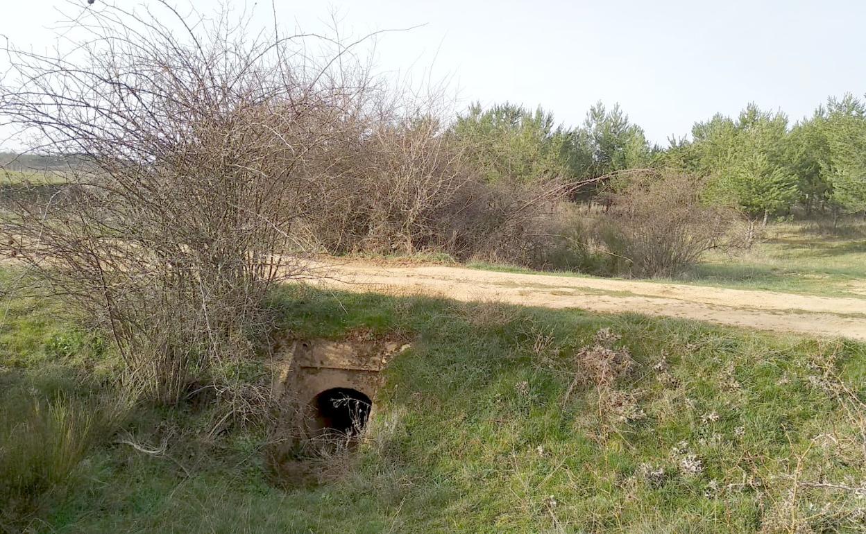 Imagen de la zona en la que fue localizado el cuerpo de la víctima.