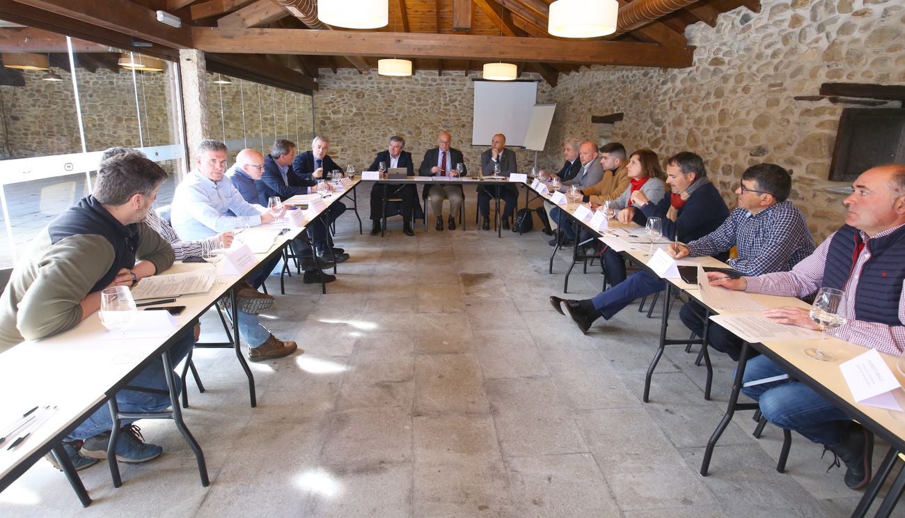 El consejero de Agricultura, Ganadería y Desarrollo Rural, Jesús Julio Carnero, anunció este viernes que los agricultores de la comarca del Bierzo dispondrán de una prórroga, hasta el 30 de marzo, para pedir ayudas para la instalación de sistemas contra las heladas y de mallas contra el granizo.