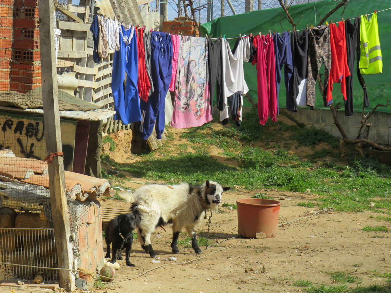 Fotos: Visita a Chozas de Abajo