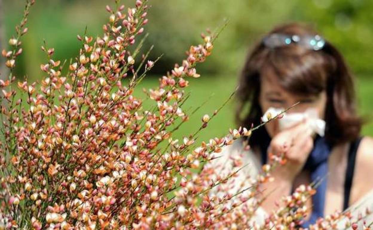 El nivel de polen de esta primavera será entre leve y moderado en Castilla y León