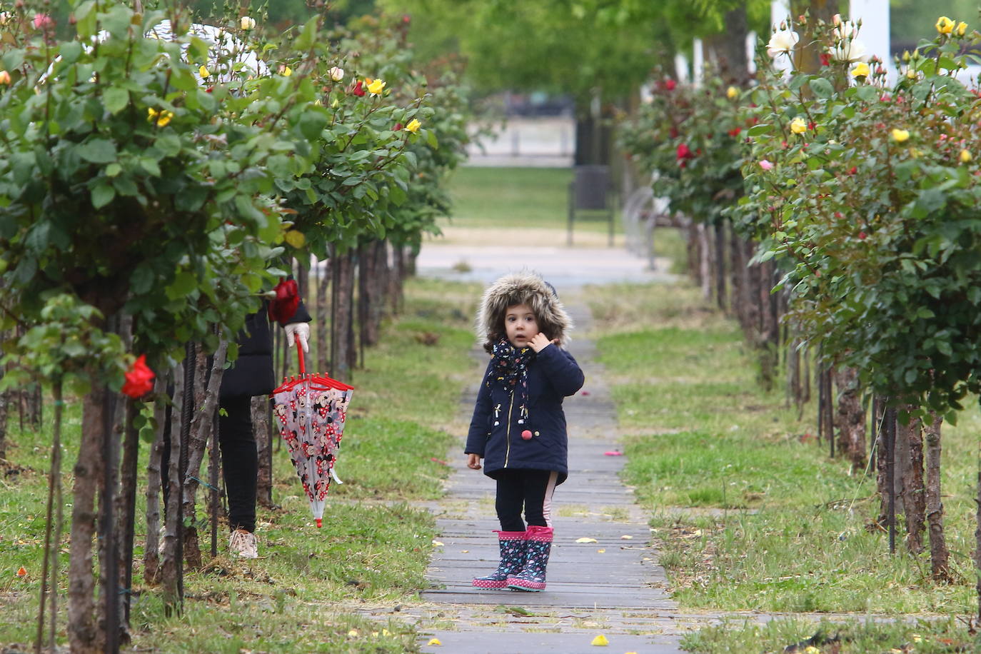 Fotos: Los niños salen a la calle en Ponferrada