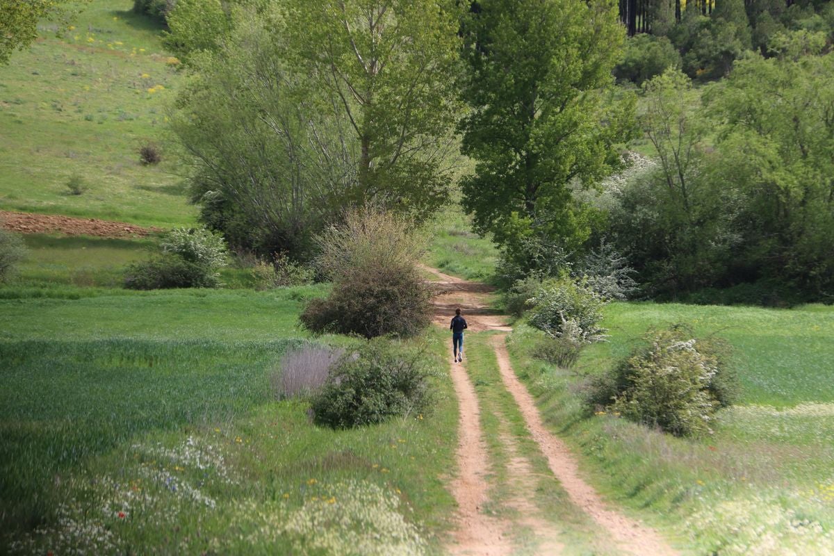 Blanca Fernández entrena por unos caminos de Arcahueja.