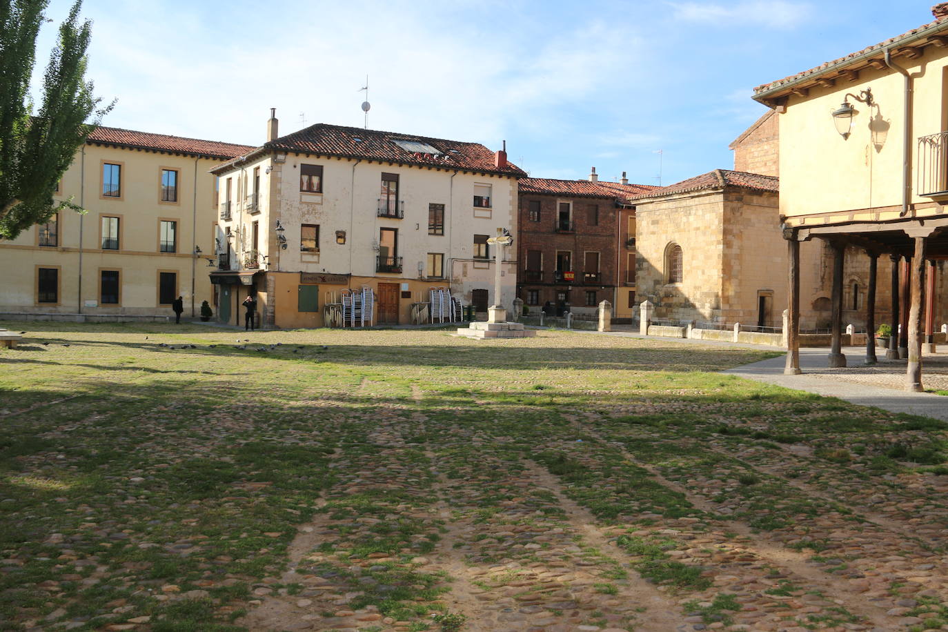 Fotos: El &#039;verdín&#039; vuelve a la Plaza del Grano