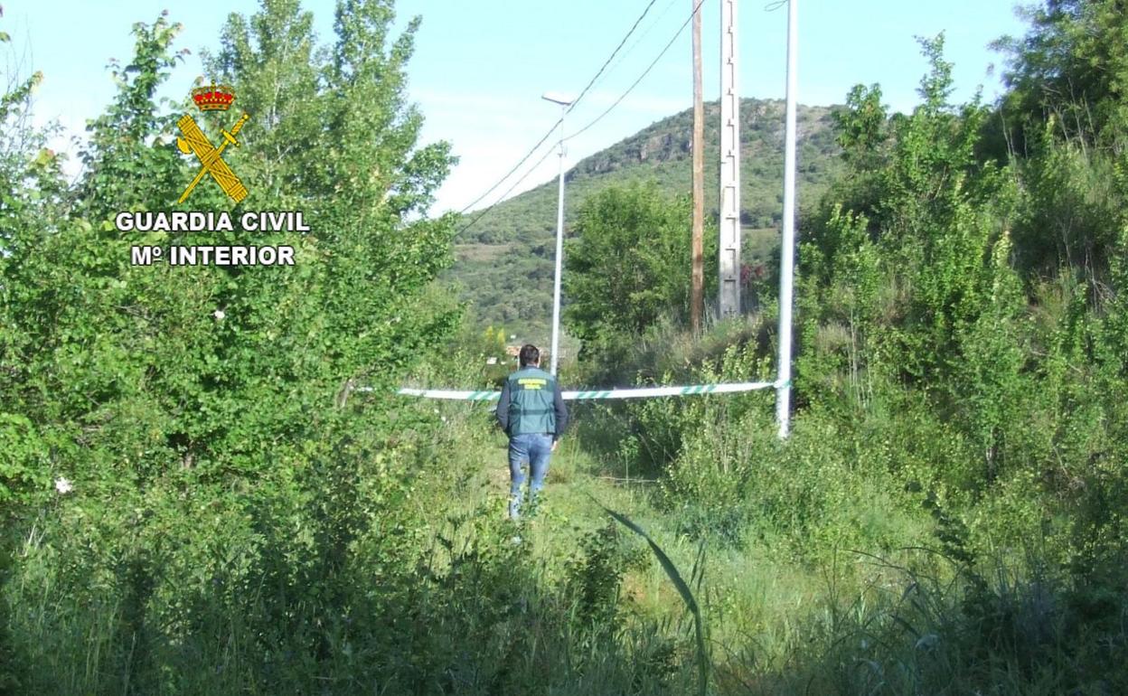 Momento en el que la Guardia Civil realiza sus diligencias.