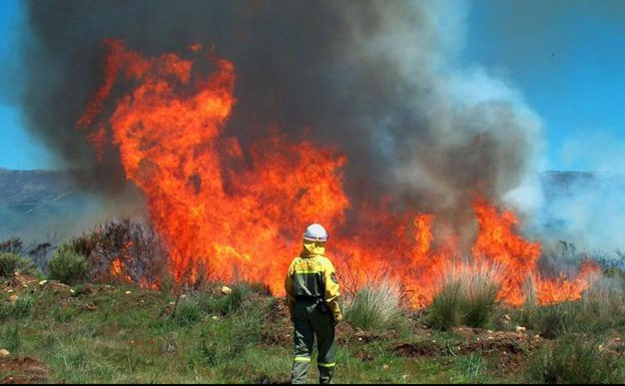 Incendio que tuvo lugar en Castilla y León el año pasado.