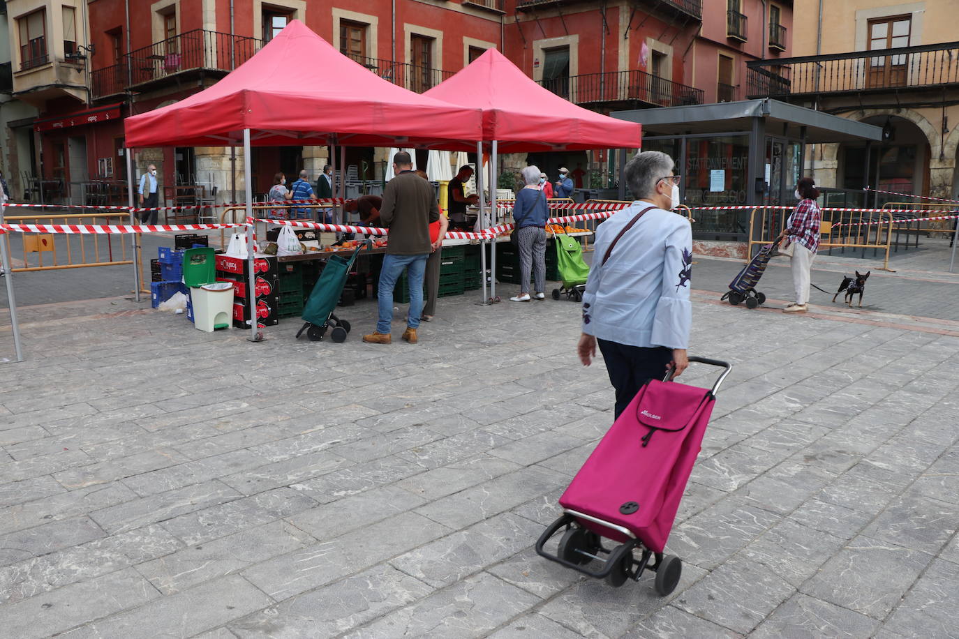 Fotos: El Mercado de la Plaza Mayor vuelve a la vida