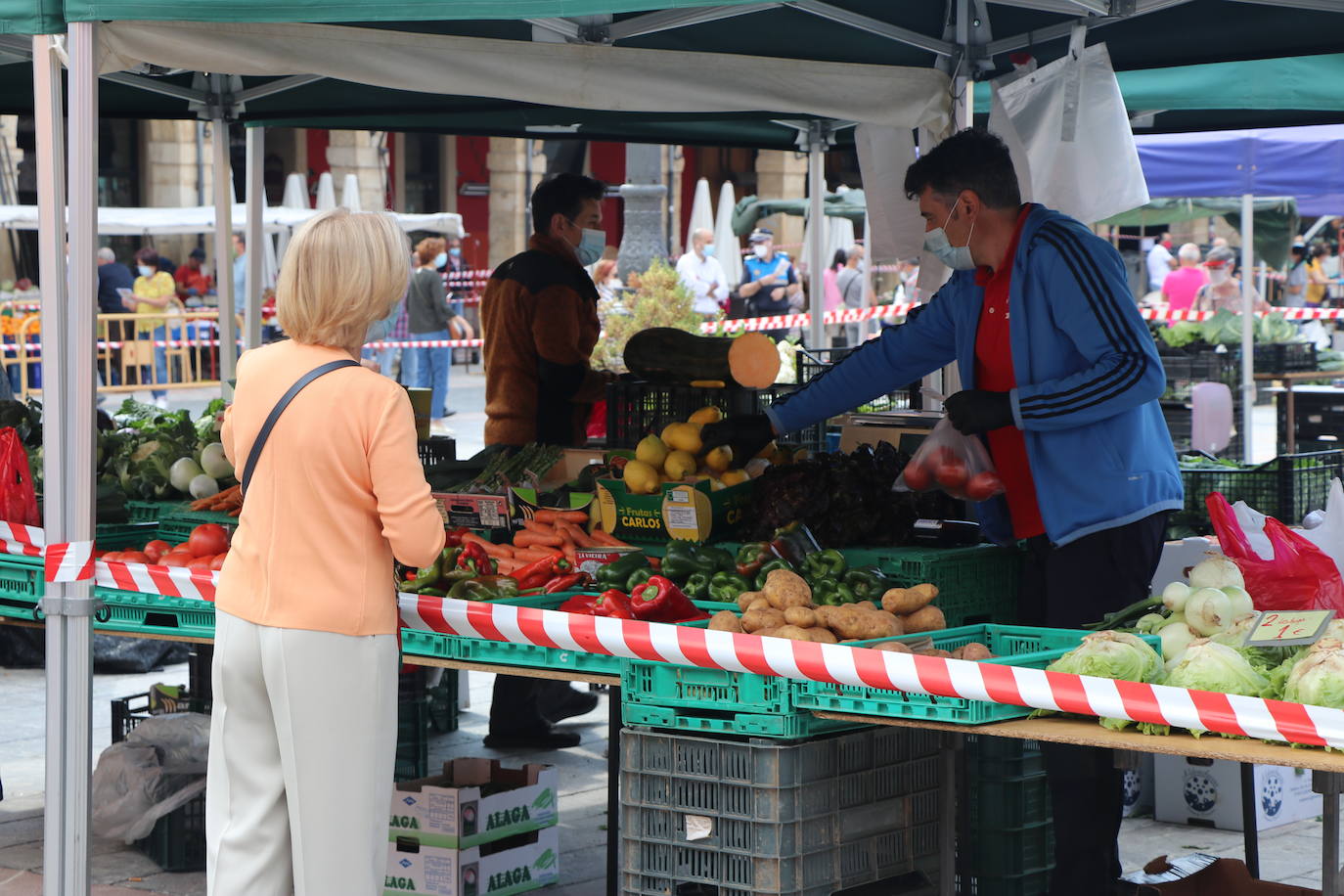 Fotos: El Mercado de la Plaza Mayor vuelve a la vida