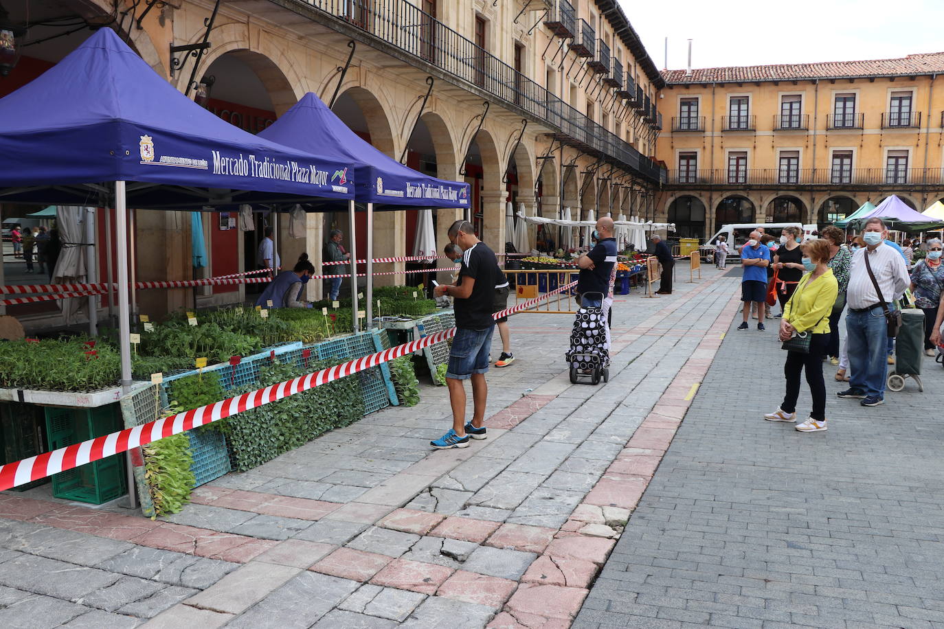 Fotos: El Mercado de la Plaza Mayor vuelve a la vida