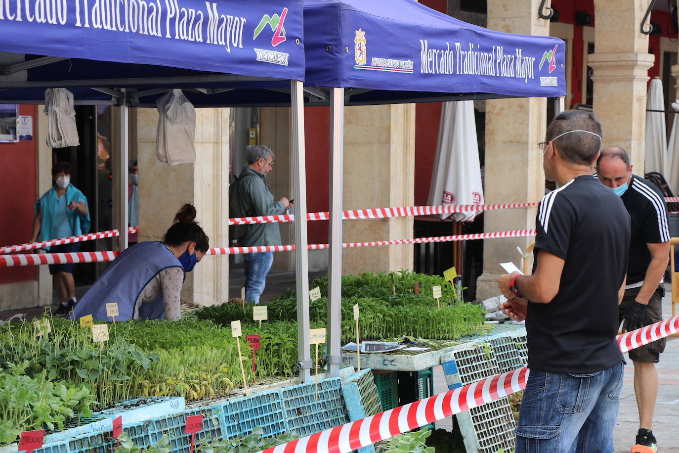 Fotos: El Mercado de la Plaza Mayor vuelve a la vida