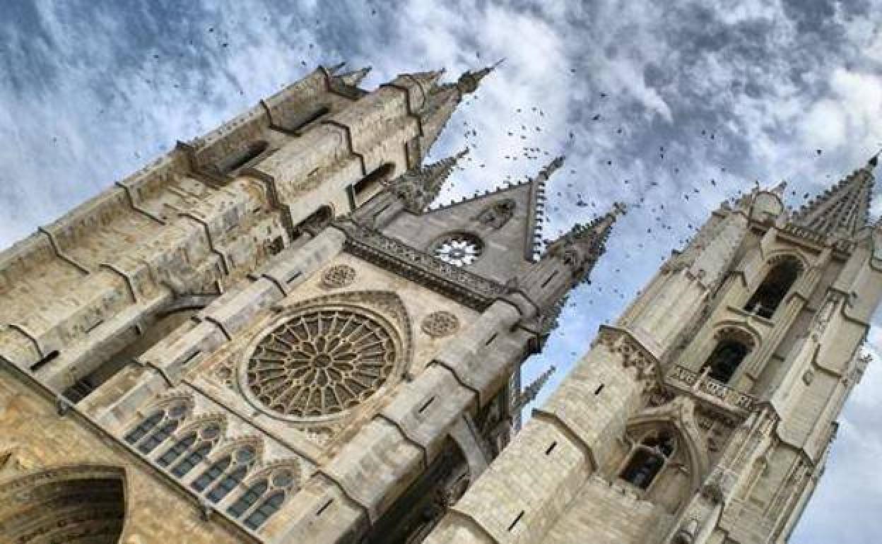 Catedral de León. 