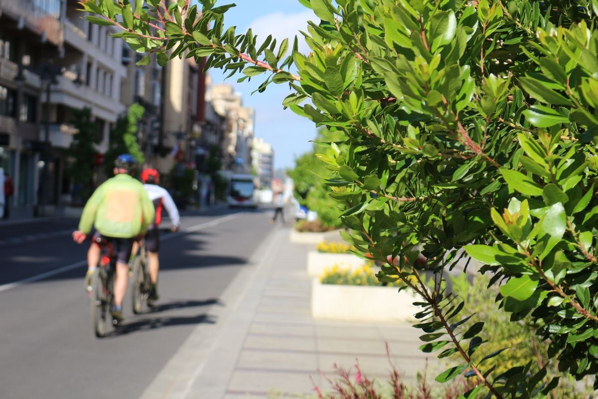 La Fase 2 de la desescalada continúa en León 88 días después del inicio del Estado de Alarma a la espera de poder entrar en el siguiente nivel.