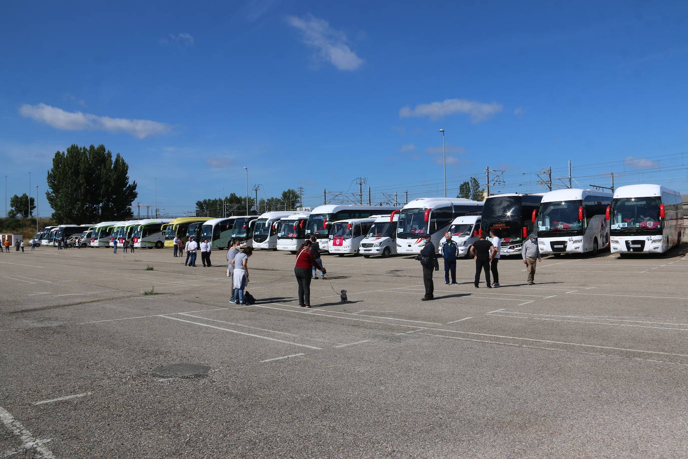 Los buses del servicio discrecional salen a las calles para reivindicar ayudas al sector.