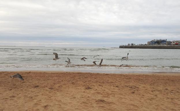 León no irá a la playa hasta el 22