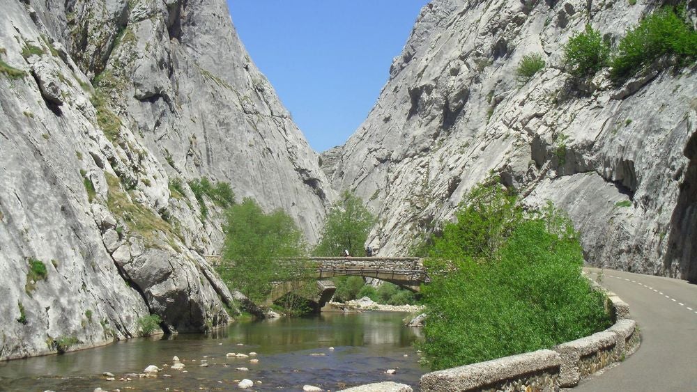 Hoces de Vegacervera | Es un mirador en sí mismo. Las Hoces de Vegacervera es un espacio natural protegido situado en los términos municipales de Cármenes, Matallana de Torío, Valdepiélago y Vegacervera del que recibe su nombre. La vegetación dominante está compuesta por una mezcla de harbáceas y matorrales típicos de pendientes rocosas calcícolas de formas almohadilladas. En la meseta situada a ambos lados de la hoces se observan pastizales secos con matorrales de aliagas y enebros rastreros. En las laderas del macizo que domina la mayor parte del Espacio se encuentran masas de monte bajo de roble y haya. En el fondo del valle reseñar la presencia del bosque formado por sauces y álamos.