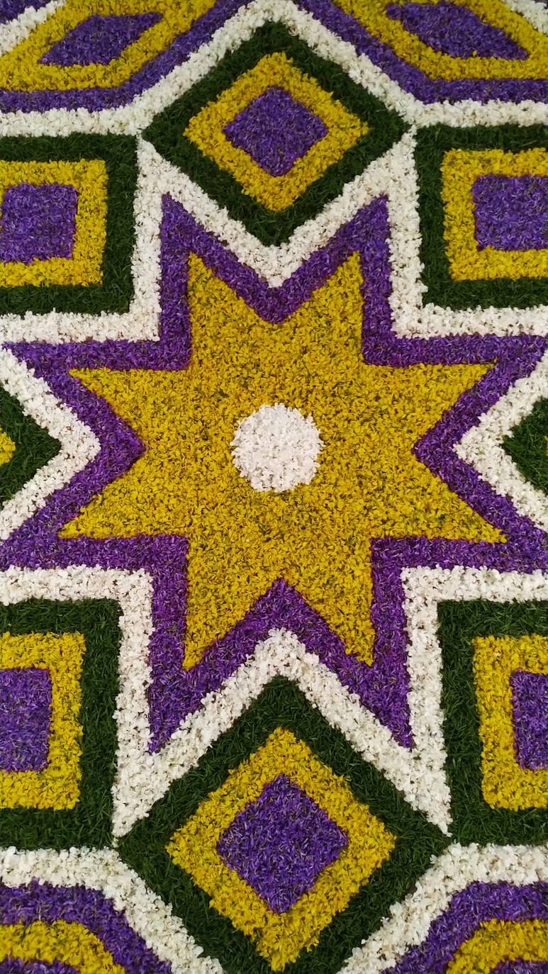 Fotos: Una alfombra de flores en Cuenabres