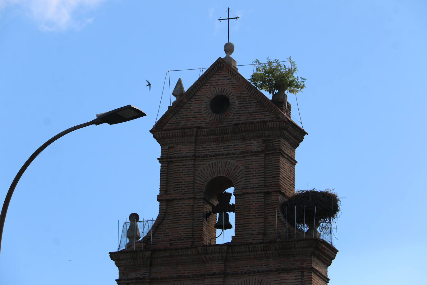 Fotos: León incia la &#039;fase 3&#039;