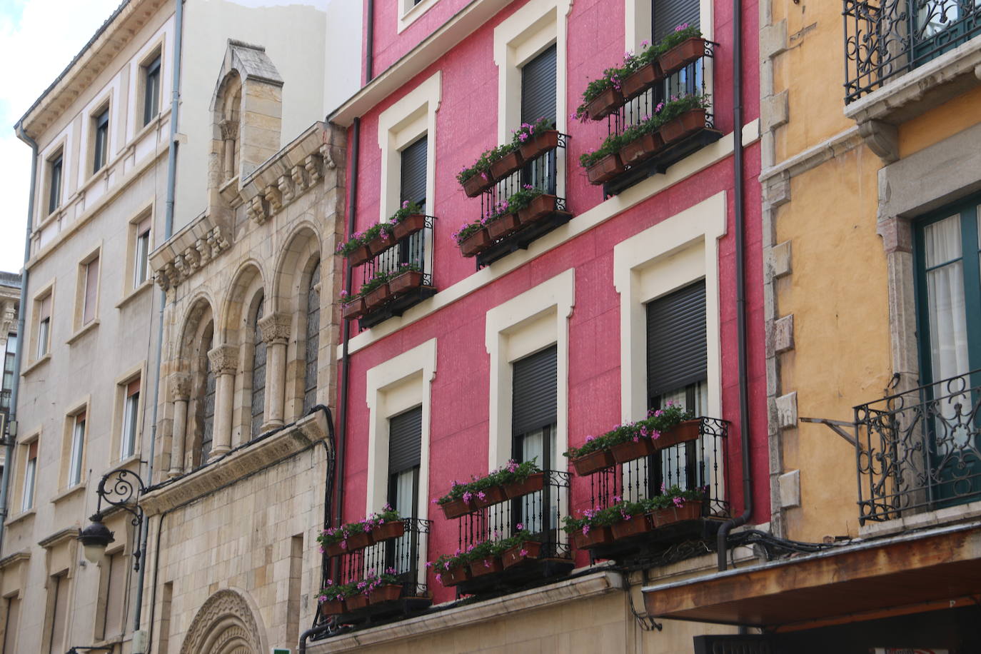 Fotos: De flor en flor en la calle Ancha