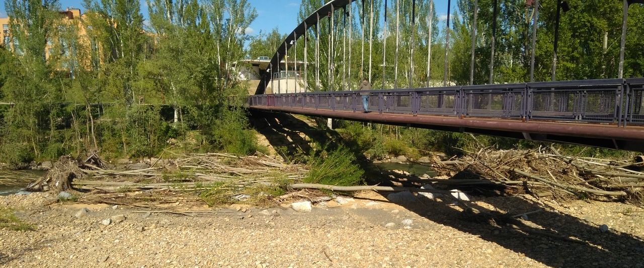 UPL reclama al equipo de gobierno del PSOE más diligencia en el mantenimiento de las zonas verdes de la ciudad. Imágenes facilitadas por la formación leonesista.