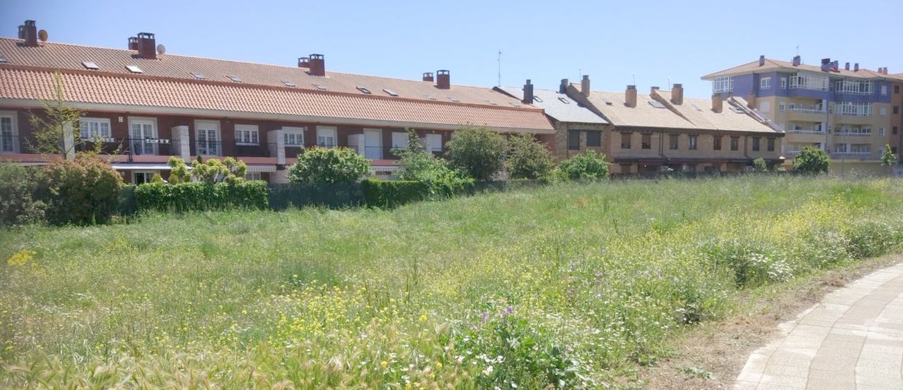 UPL reclama al equipo de gobierno del PSOE más diligencia en el mantenimiento de las zonas verdes de la ciudad. Imágenes facilitadas por la formación leonesista.