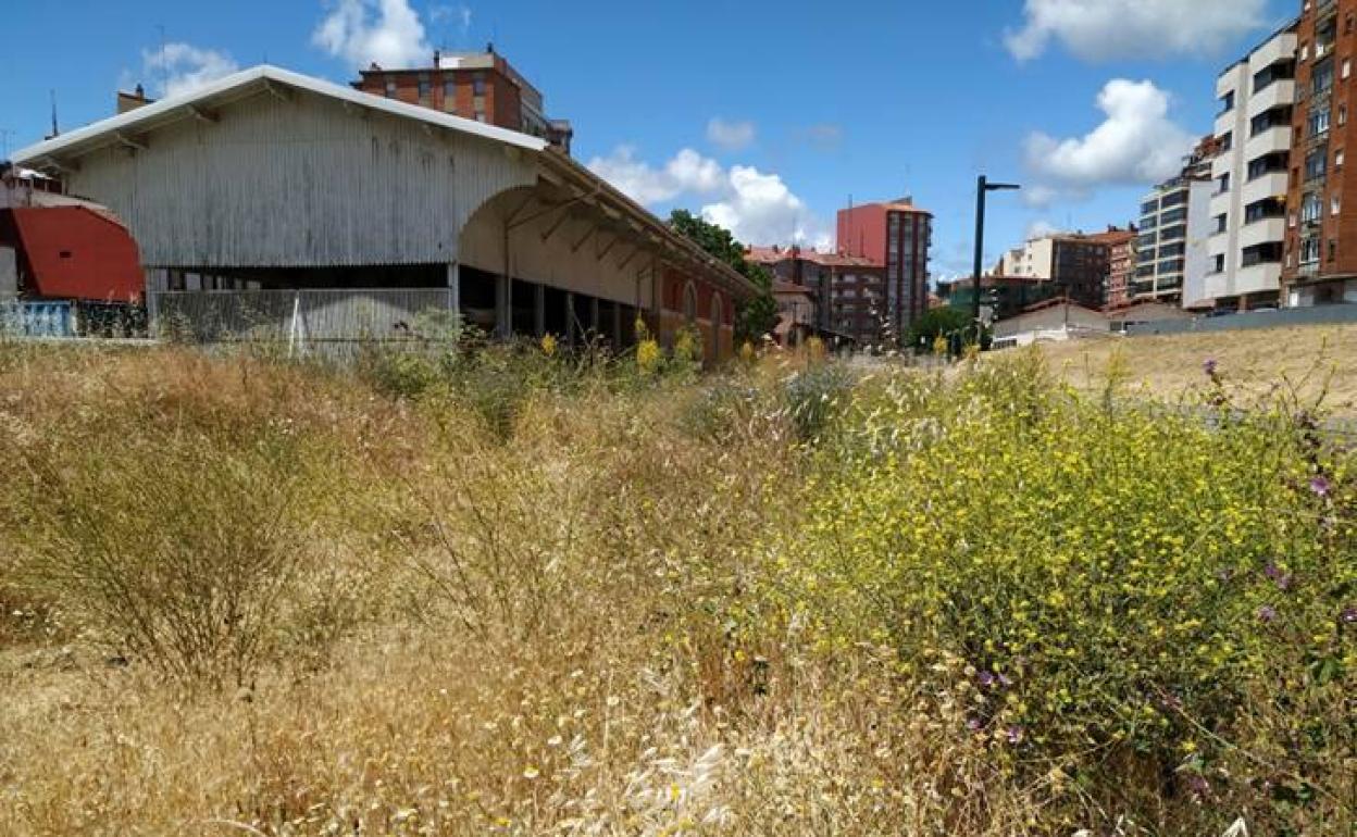 Imagen de la estación de Feve. 