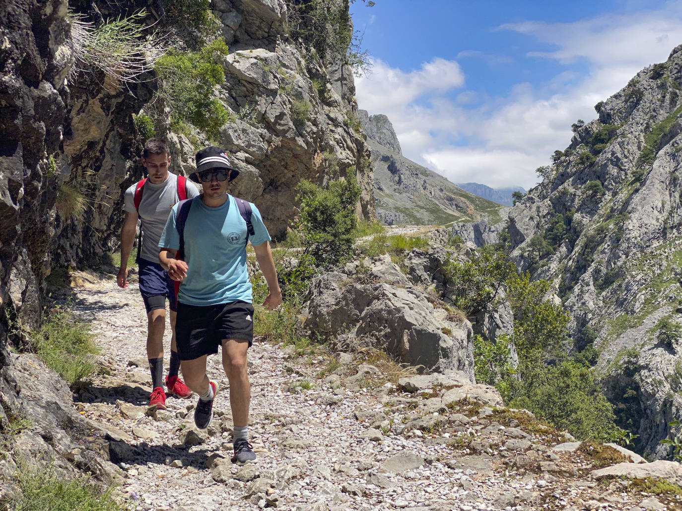 Los aficionados al senderismo han estrenado el verano y la nueva normalidad con un espléndido día para adentrarse en la montaña. El Urriellu, en los Picos de Europa, ha sido el telón de fondo mara muchos de los amantes de este deporte que ha acudido a realizar la popular Ruta del Cares. Poco a poco, el sendero va recuperando su afluencia habitual. 