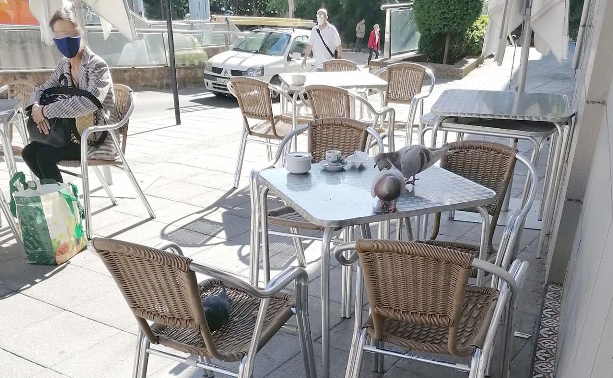 Imagen de un grupo de palomas en la mesa de un restaurante.