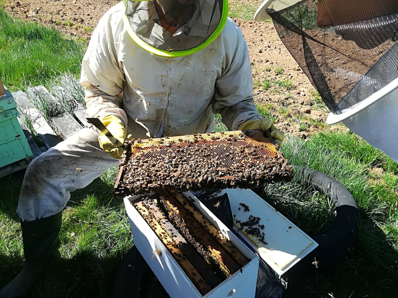 Esta empresa de apicultura leonesa se caracteriza por sus sellos de artesanía y ecología de sus productos. 