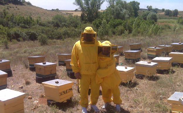 Esta empresa de apicultura leonesa se caracteriza por sus sellos de artesanía y ecología de sus productos. 