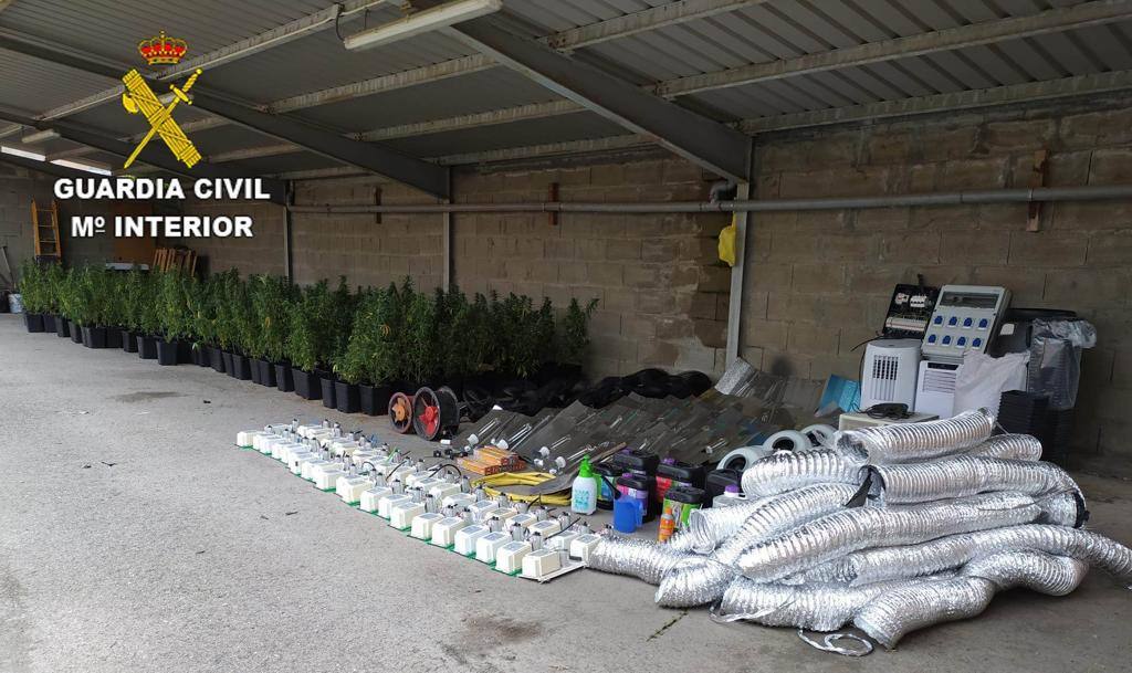 Fotos: La Guardia Civil detiene a tres personas y decomisa 410 plantas de marihuana