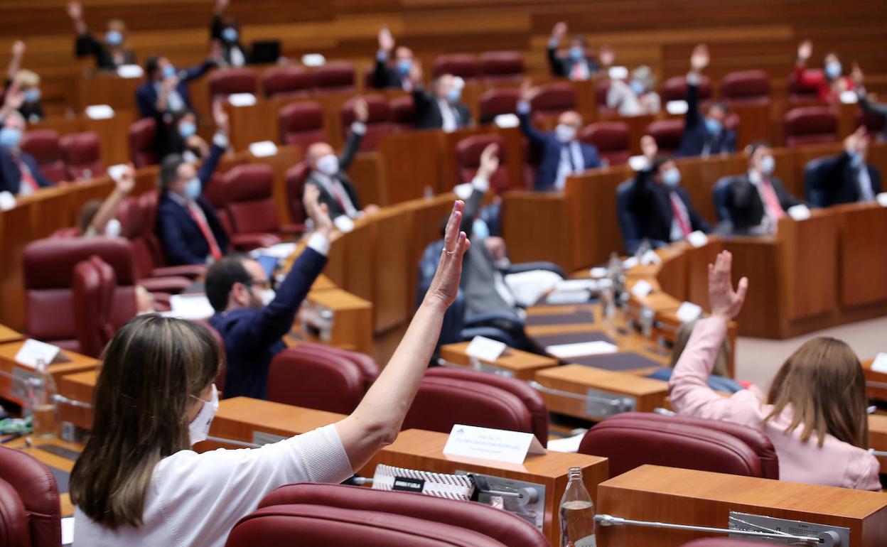 Votaciones en el Pleno de las Cortes de Castilla y León