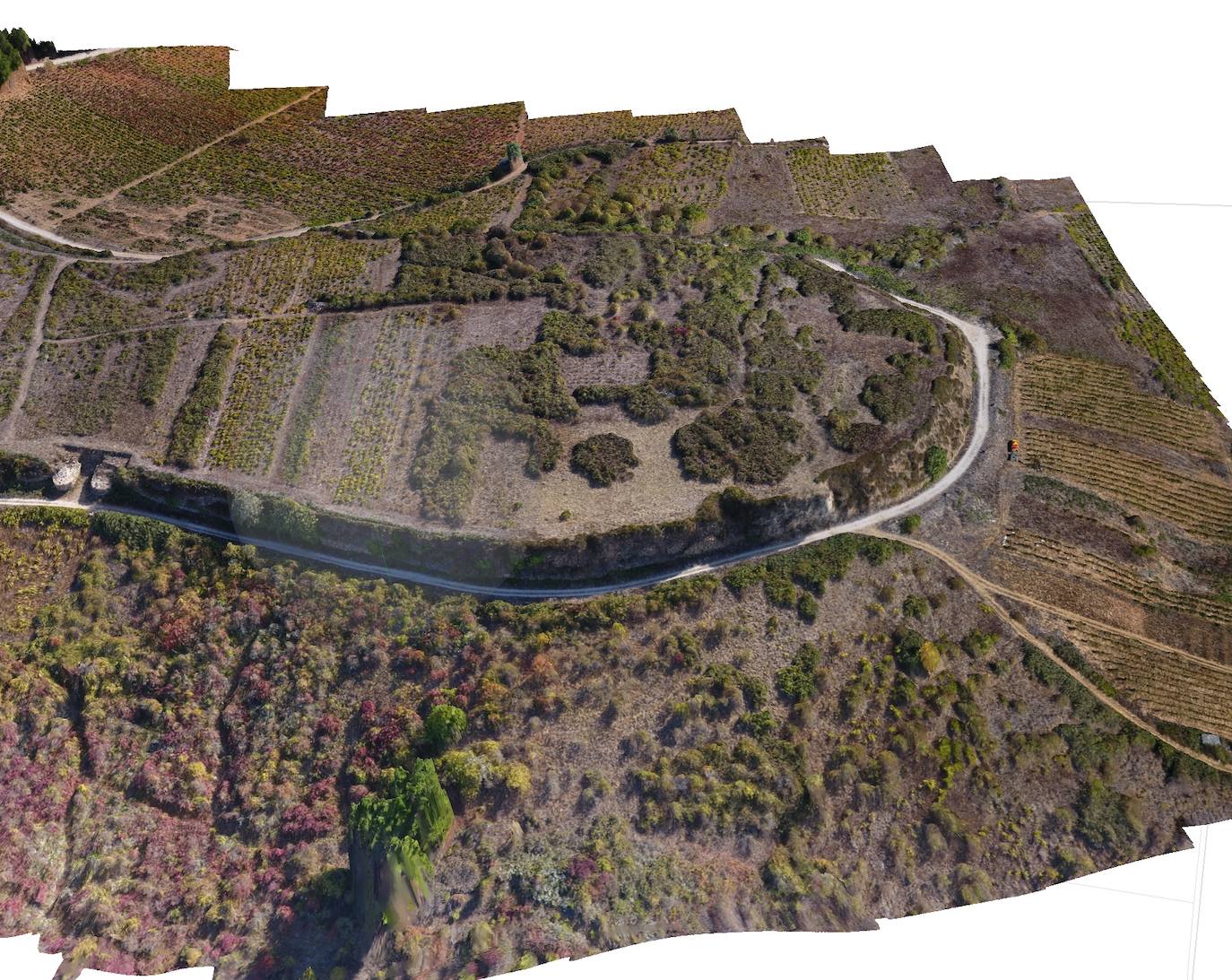 Fotos: Verónica Álvarez y Javier San Miguel, fundadores de la empresa berciana Bergidron