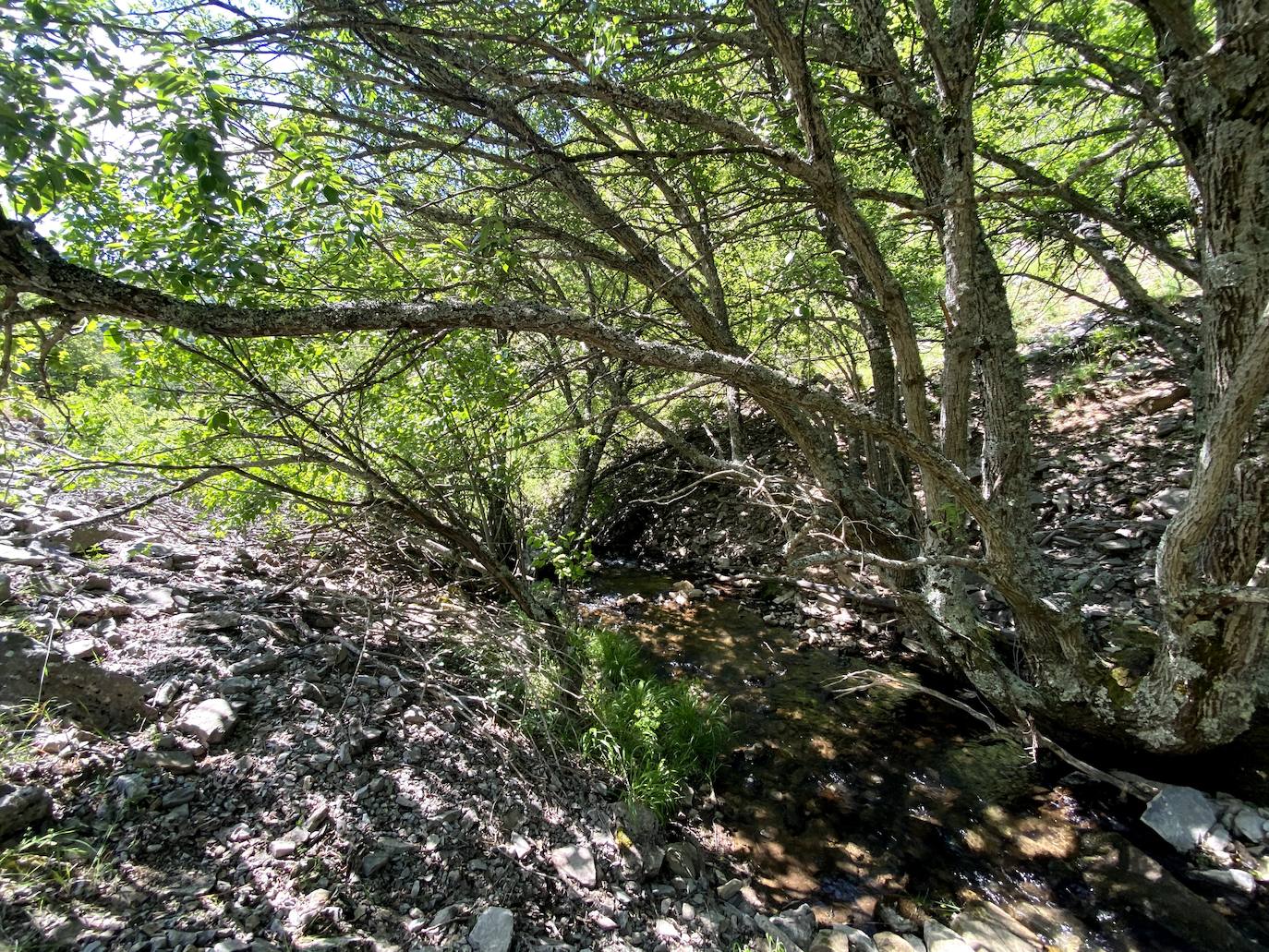 Fotos: De ruta por León: Los Calderones