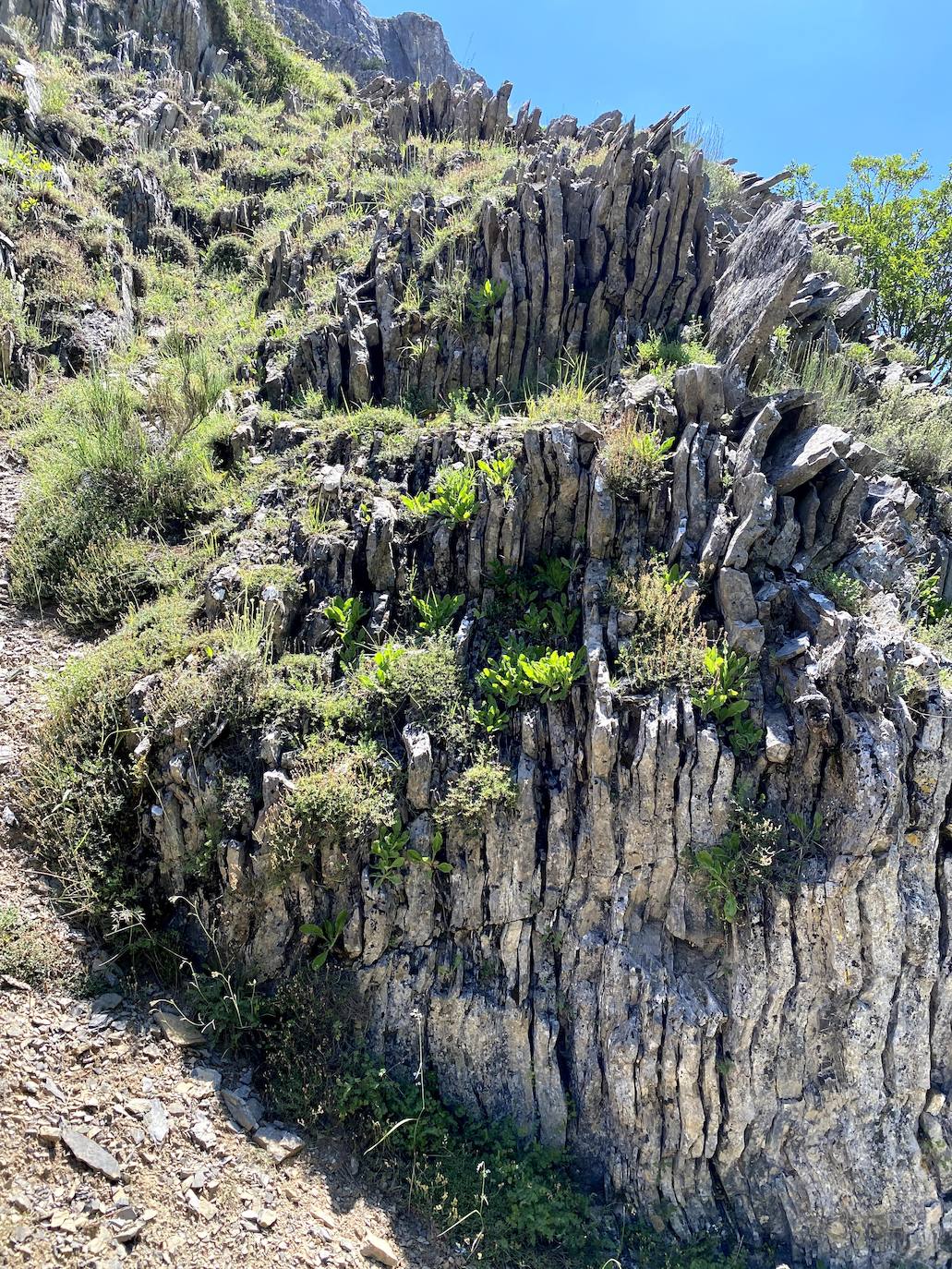 Fotos: De ruta por León: Los Calderones