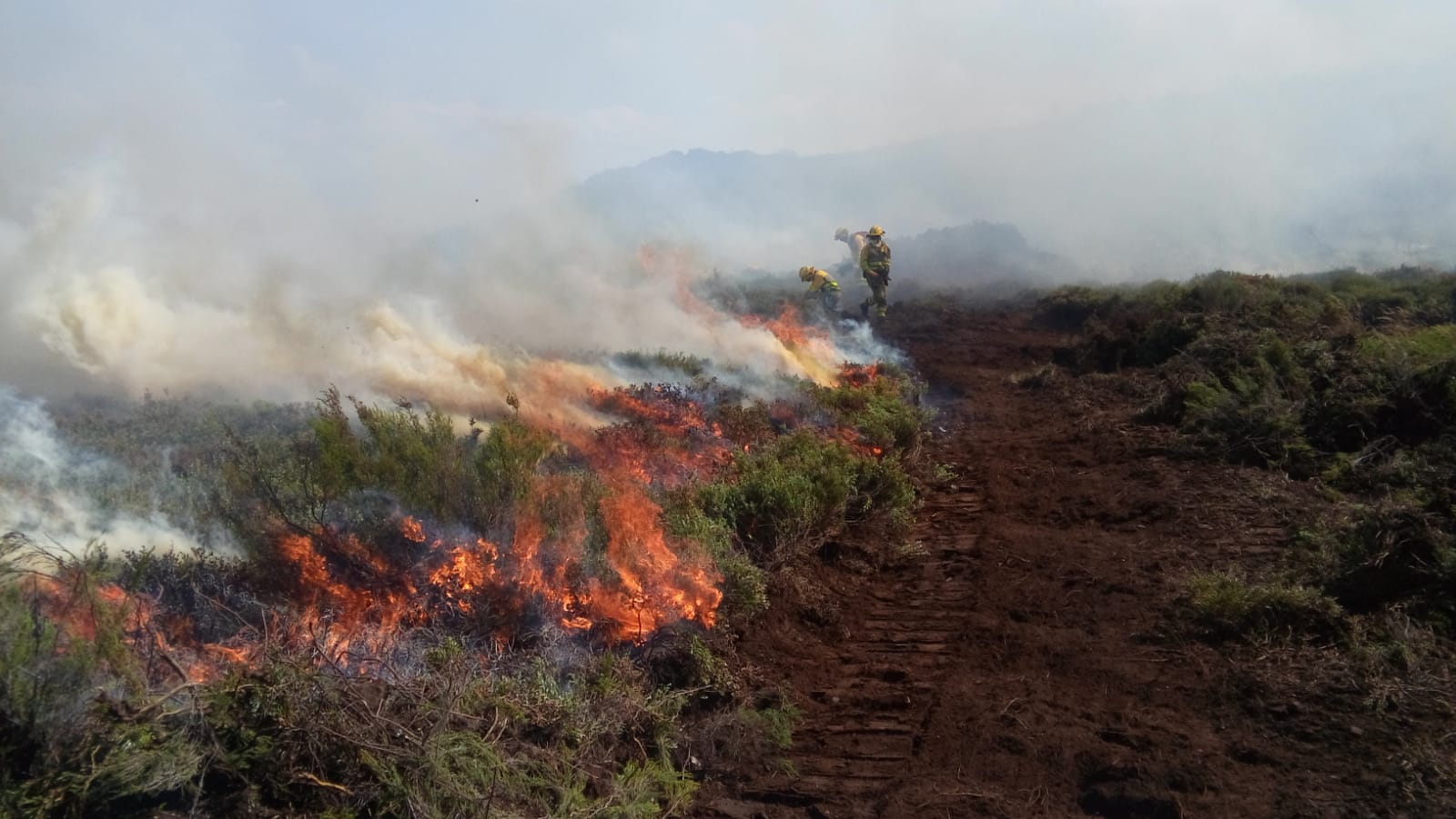La lucha contra el fuego no cede en Anllarinos del Sil. 