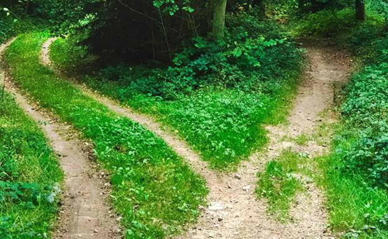 Imagen de archivo de dos caminos.