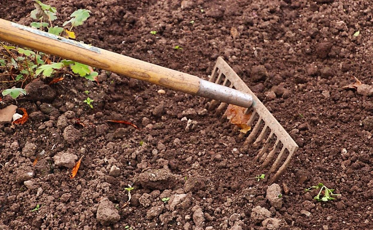 Los trabajadores redalizarán tareas en beneficio de la comunidad. 