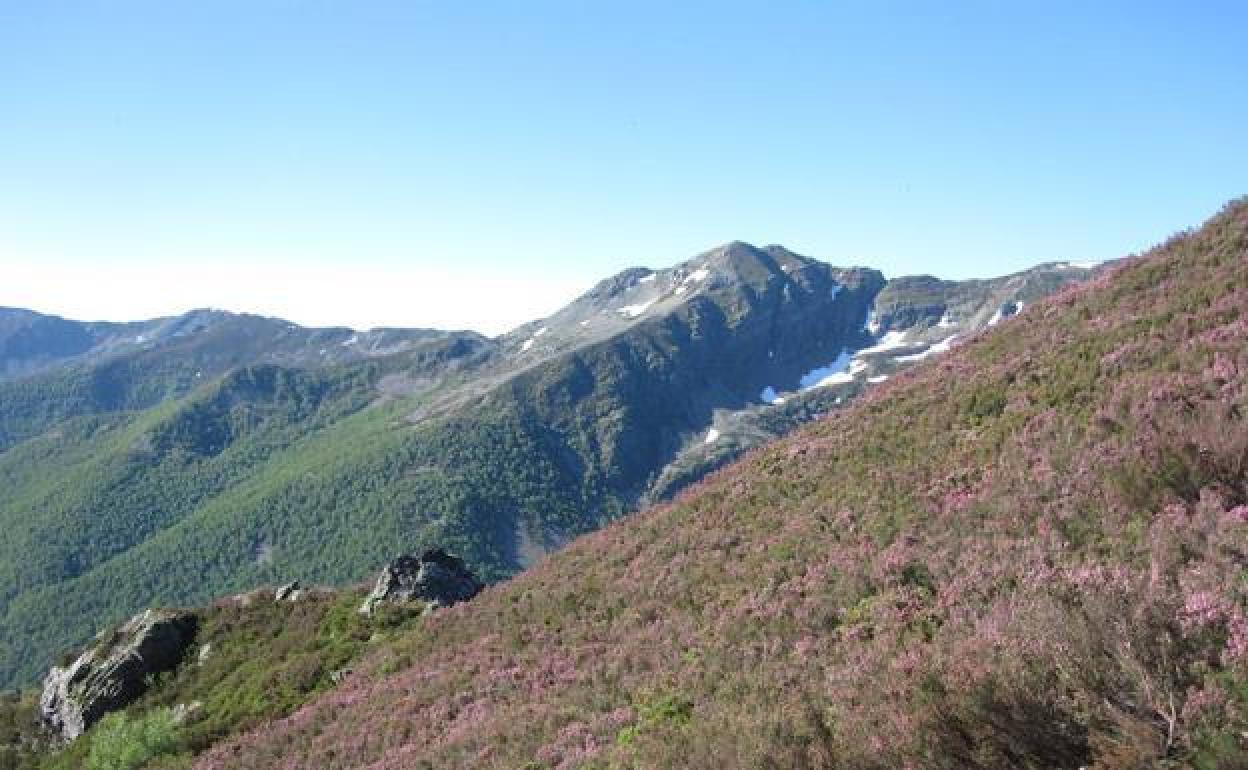 Imagen de la reserva natural de los Ancares,.