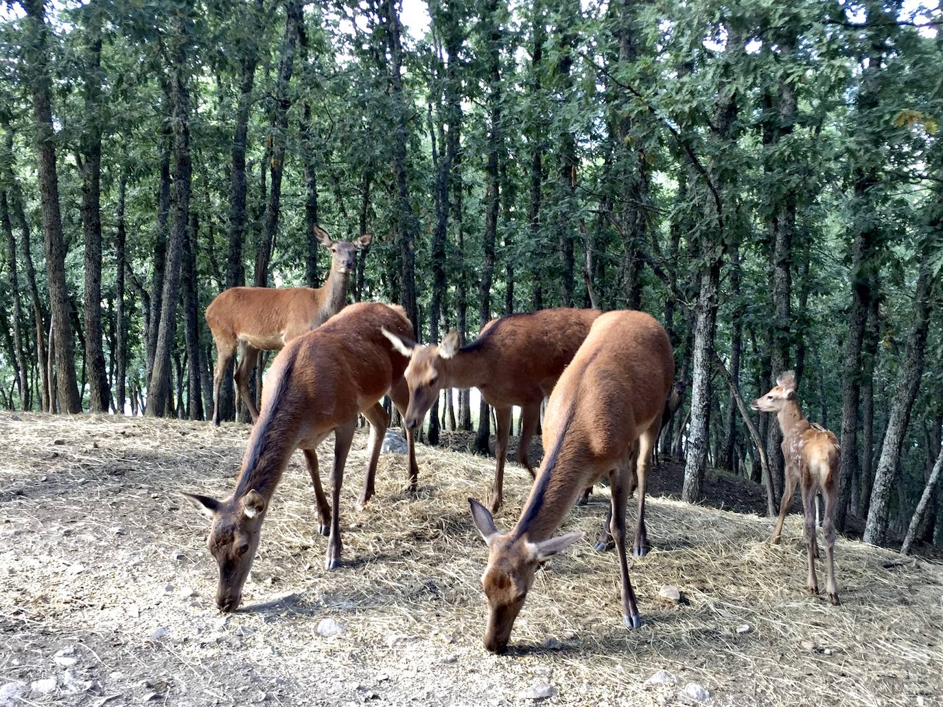 El Consorcio Provincial de Turismo y Leonoticias realizan un recorrido por los museos de la montaña leonesa para descubrir desde la acciones emprendidas por el hombre hasta la fauna y flora de este enclave