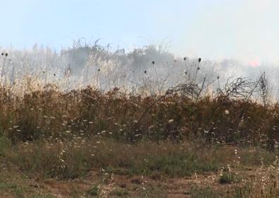 Imagen secundaria 1 - Los Bomberos de León intervienen en un incendio en la zona de los depósitos de agua