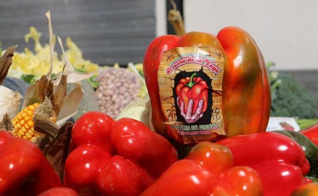 El pimiento de Fresno, el rey de la huerta.