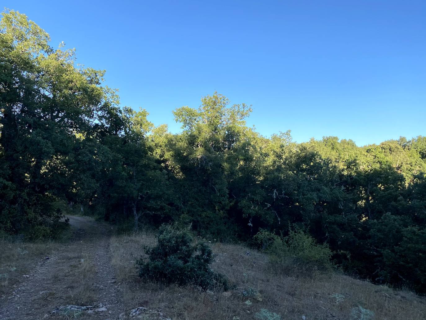 Fotos: Los pueblos olvidados: Quintana de la Peña