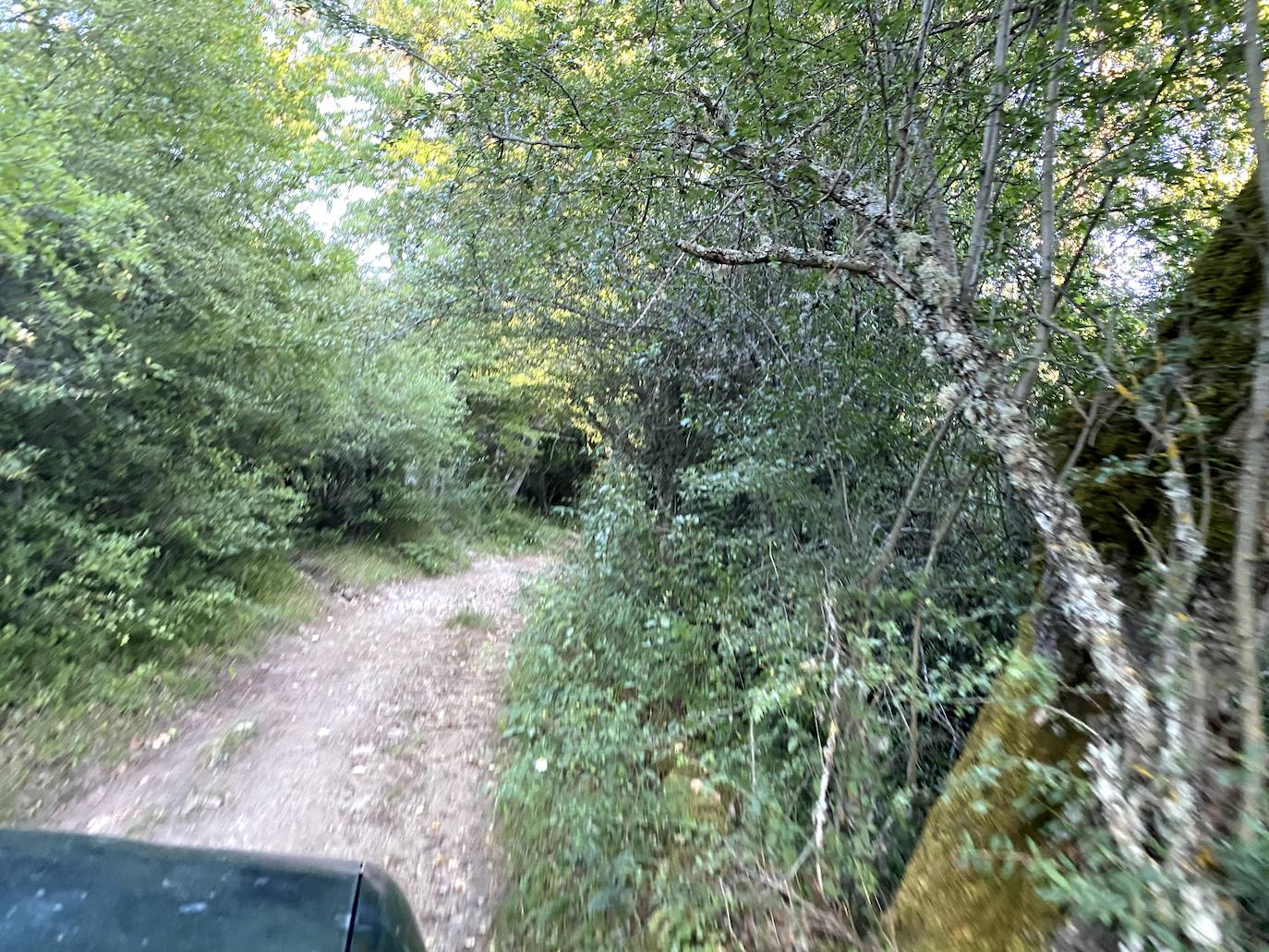 Fotos: Los pueblos olvidados: Quintana de la Peña