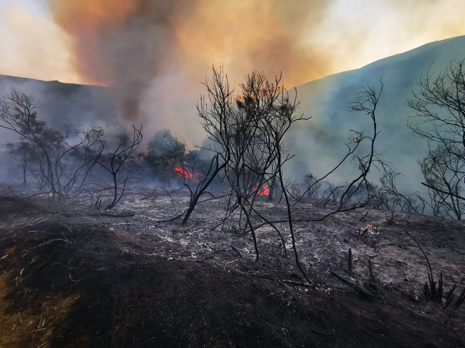 Un gran incendio en Balboa obliga a actuar a numerosos efectivos. El incendio se mantiene en 'nivel 0' y en el mismo actúan cuatro helicópteros y numerosos equipos de extinción. 