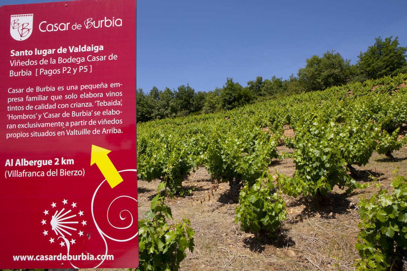 Esta bodega familiar de Carracedelo pone en valor la dedicación y el gusto por los detalles de sus vinos, naturales y con identidad berciana.