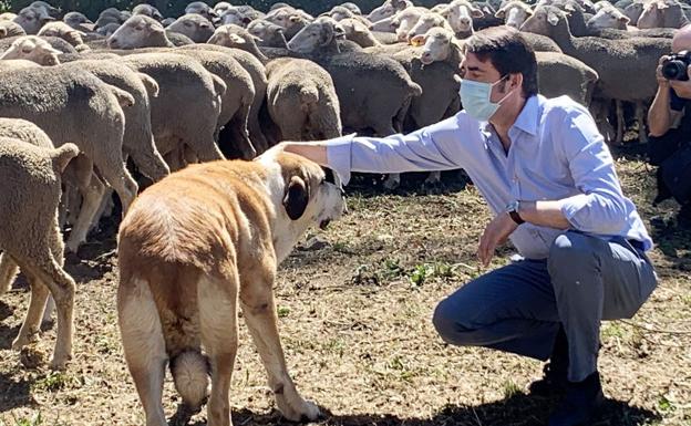 Juan Carlos Suárez-Quiñones acaricia a un perro.