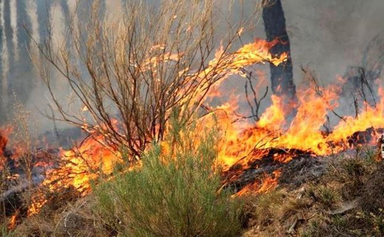 Imagen de archivo de un incendio.