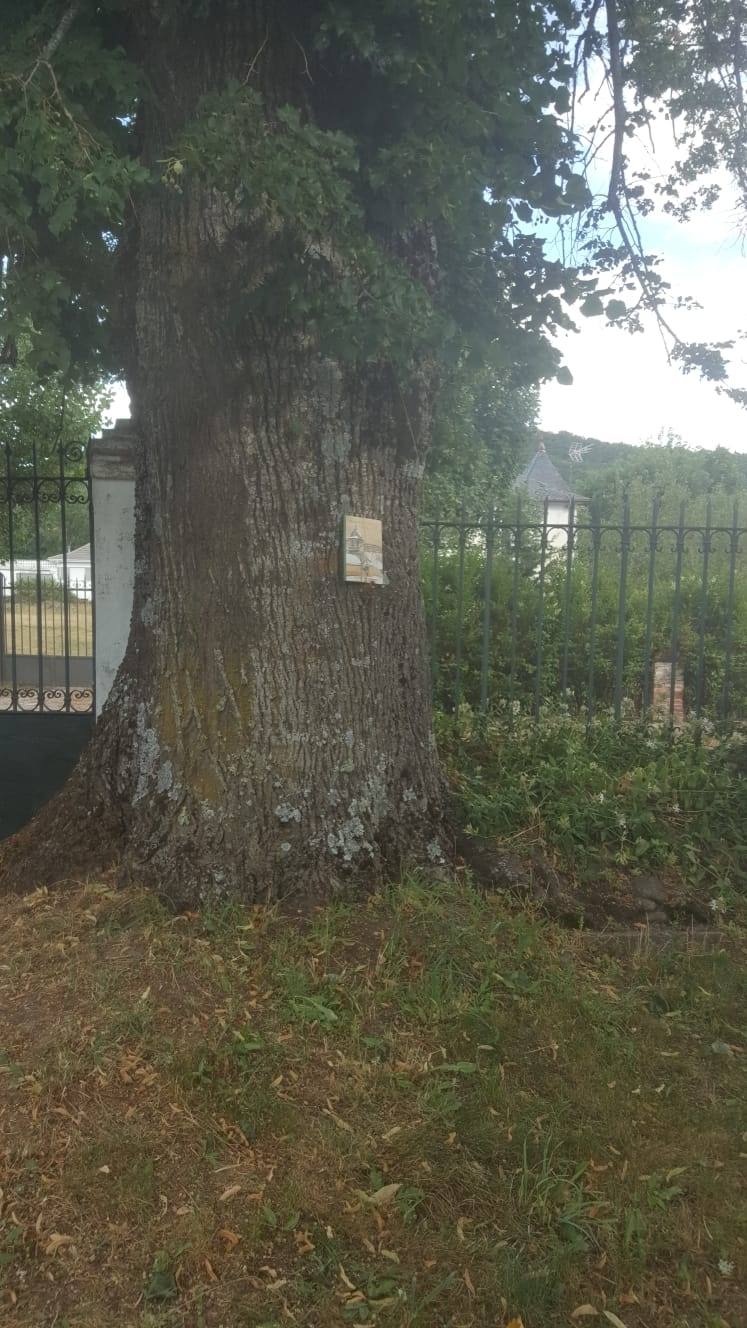 Los libros florecen en el Musac. 
